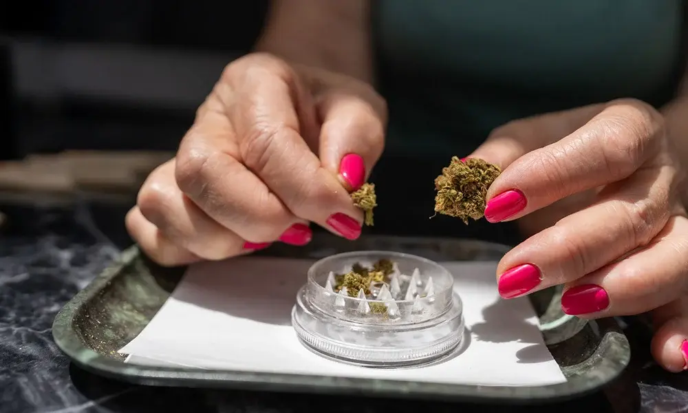 special 3300395 photo