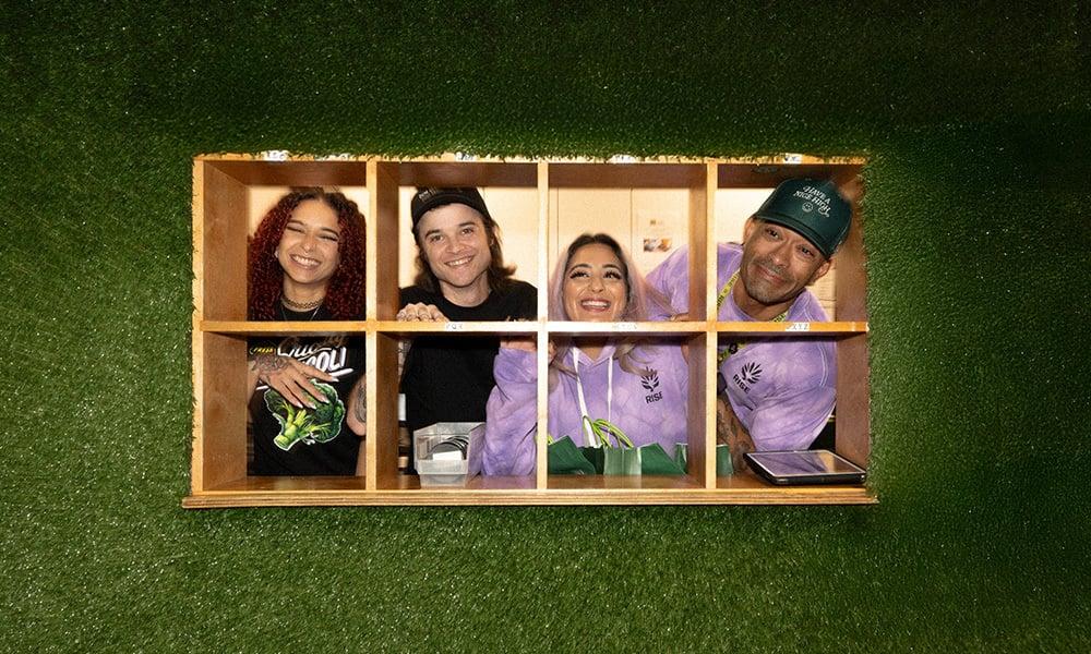 special 3370202 photo