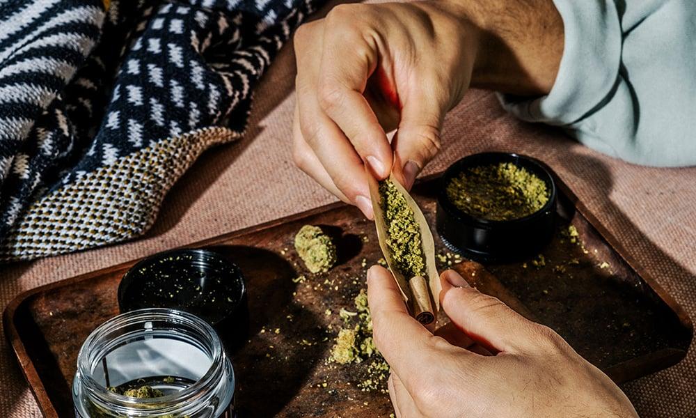 special 3302548 photo