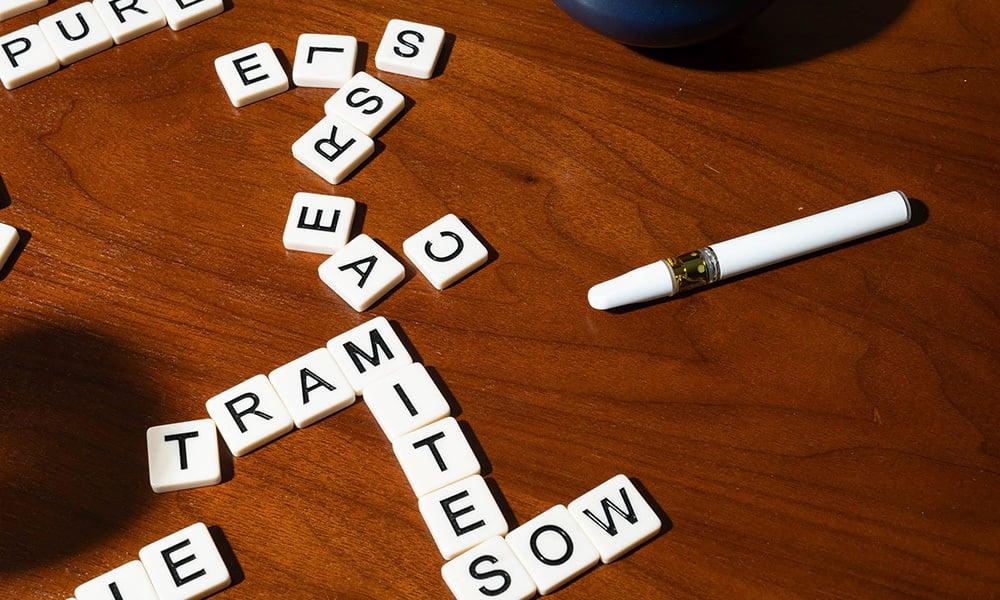 special 3299659 photo