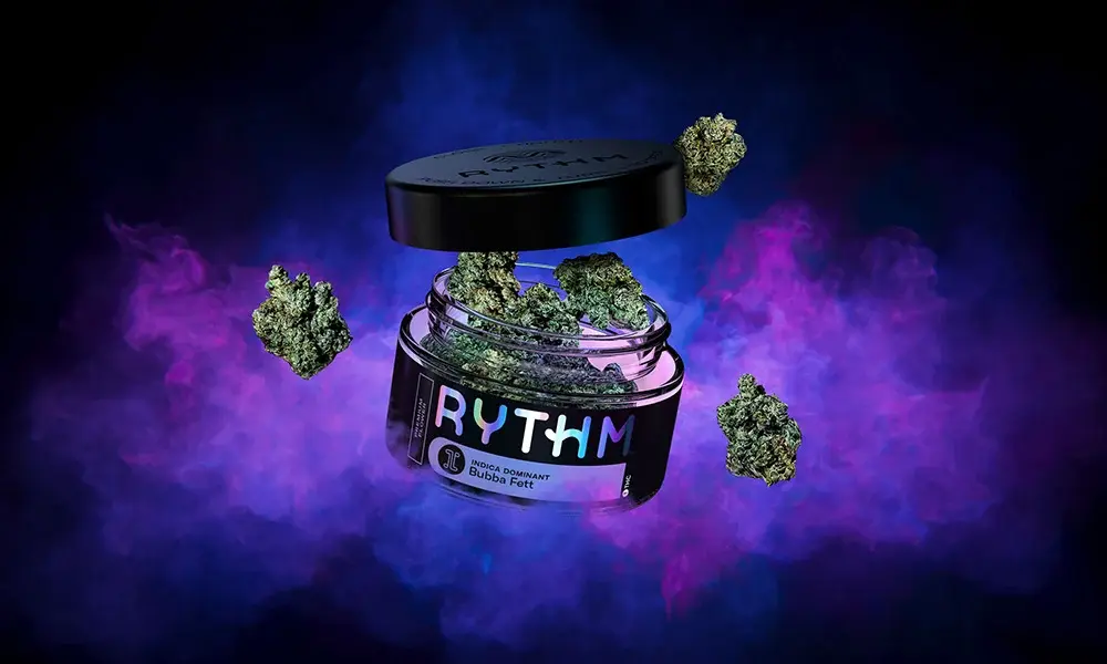 special 3297803 photo