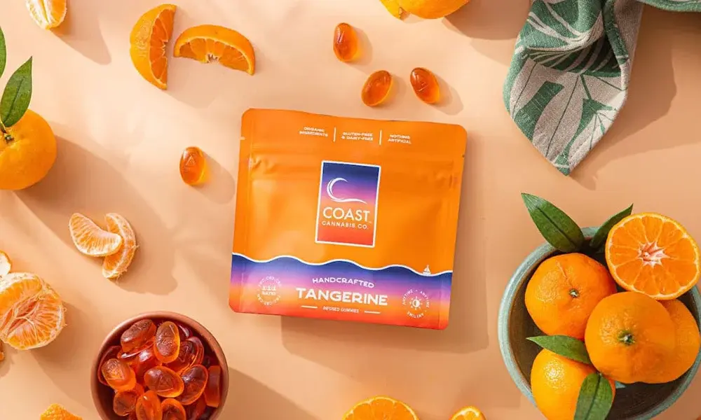 special 3330218 photo