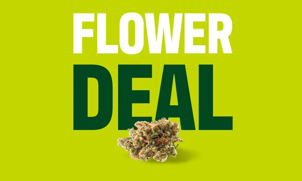 special 3130215 photo