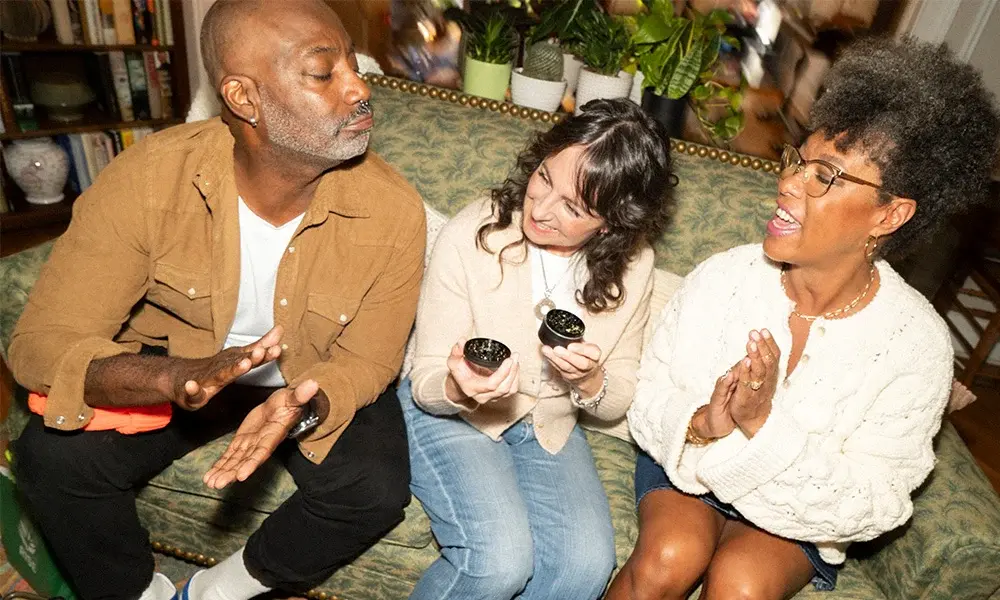 special 3392213 photo