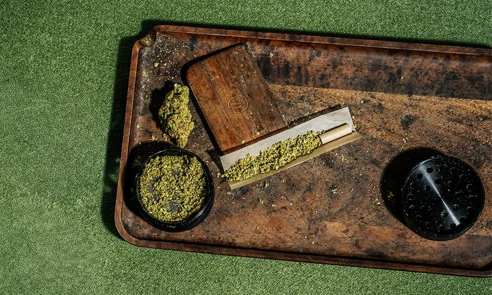 special 3364397 photo