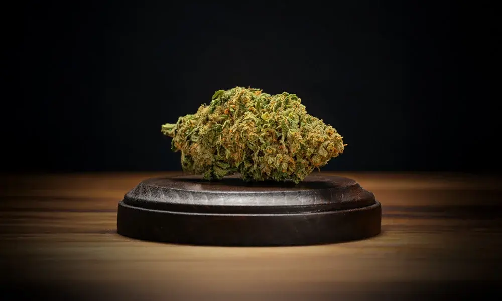 special 3284732 photo