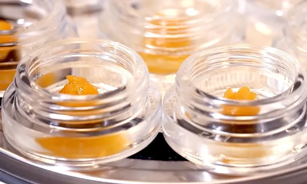 special 3360144 photo