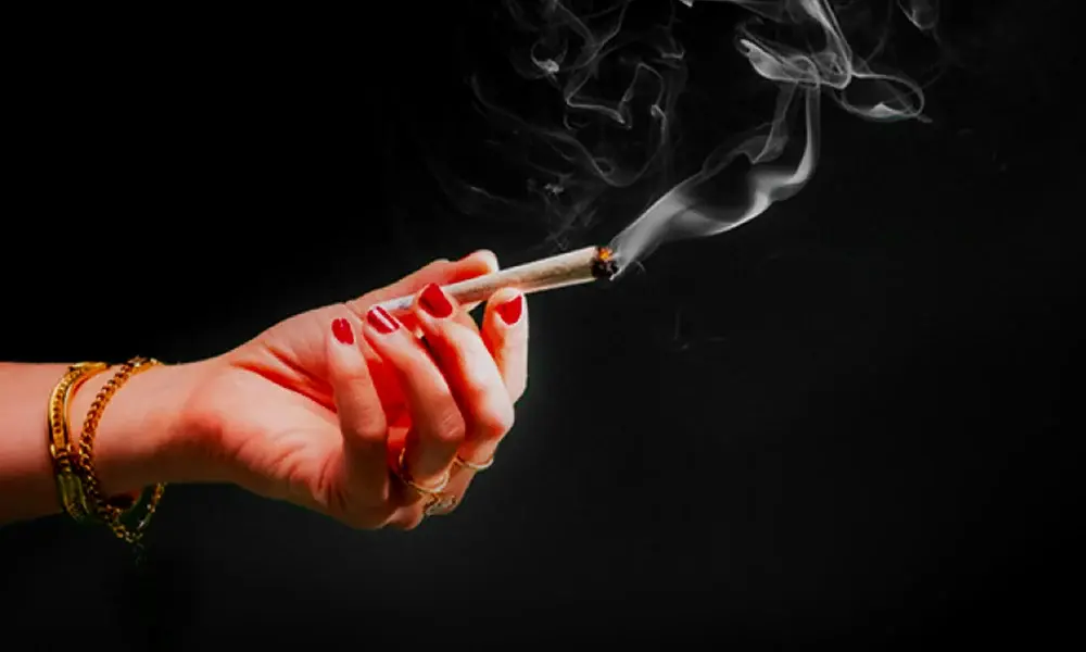 special 3313427 photo