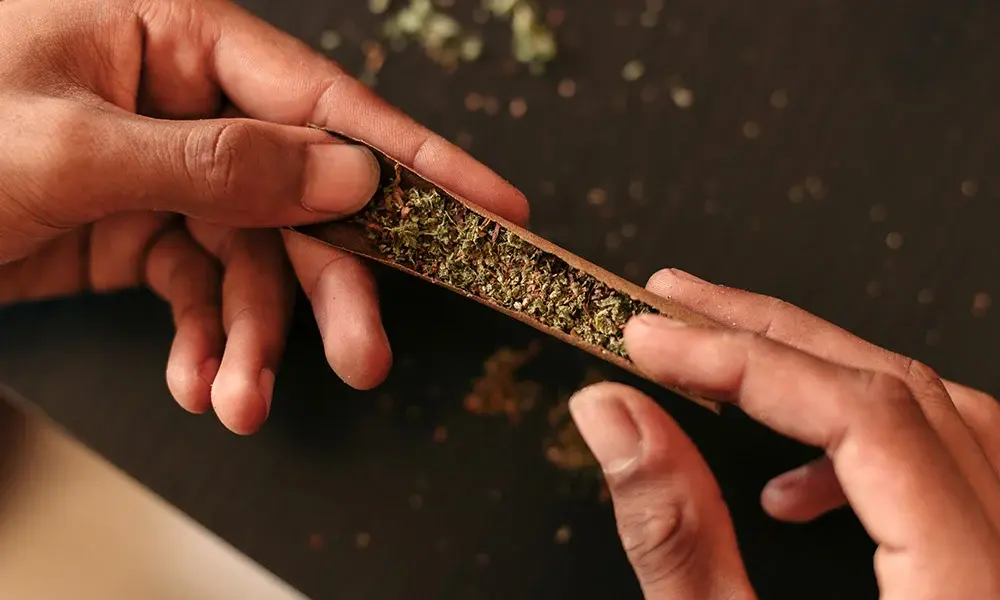 special 3398714 photo