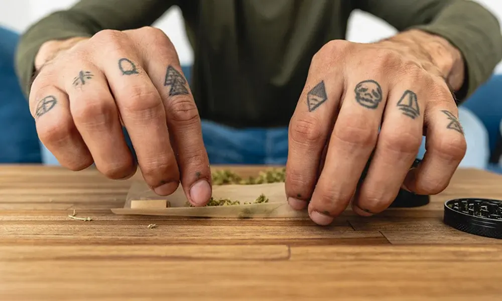 special 3346206 photo