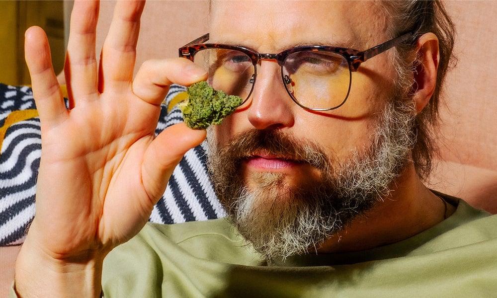 special 3313401 photo