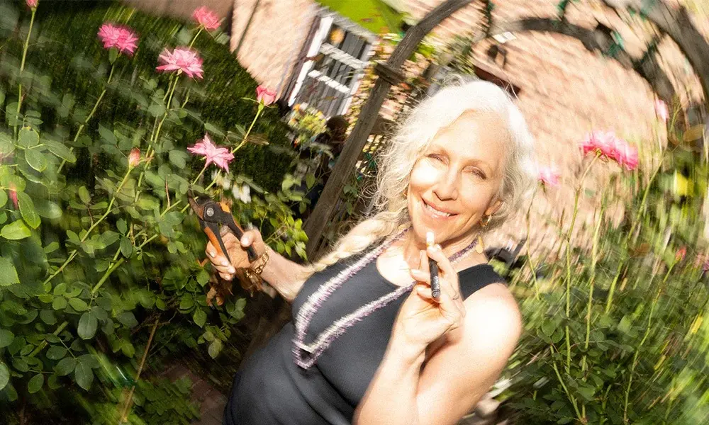 special 3381699 photo