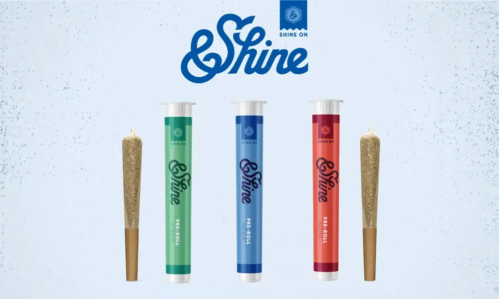 special 3306801 photo