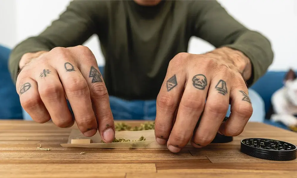 special 3291151 photo