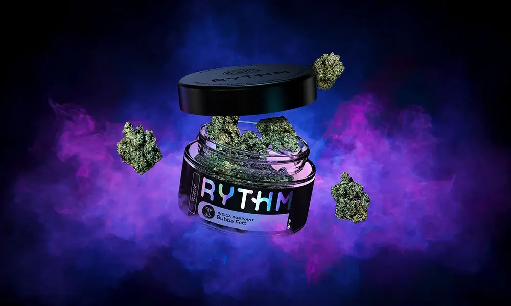 special 3316942 photo