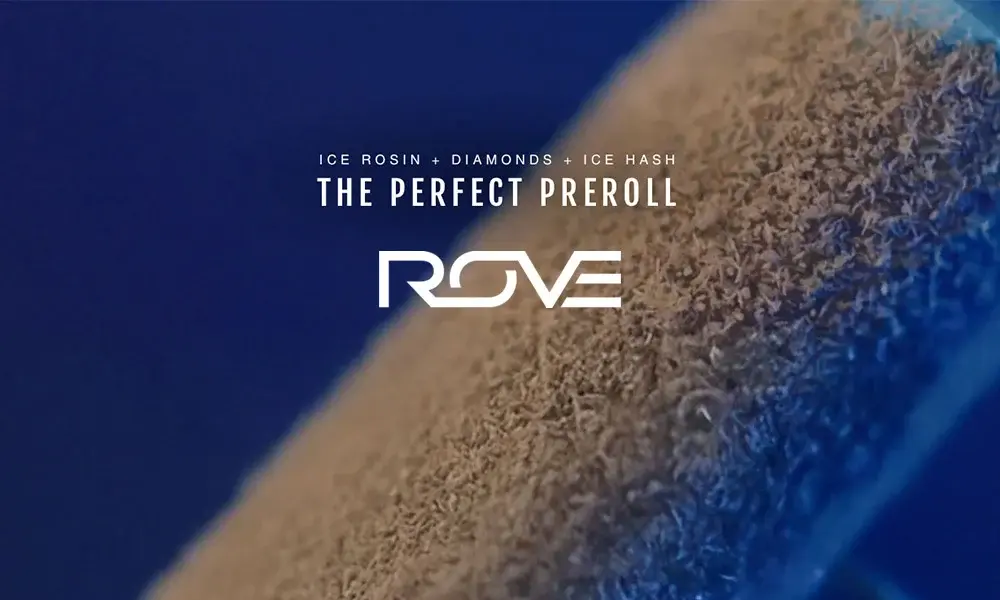 special 3311655 photo