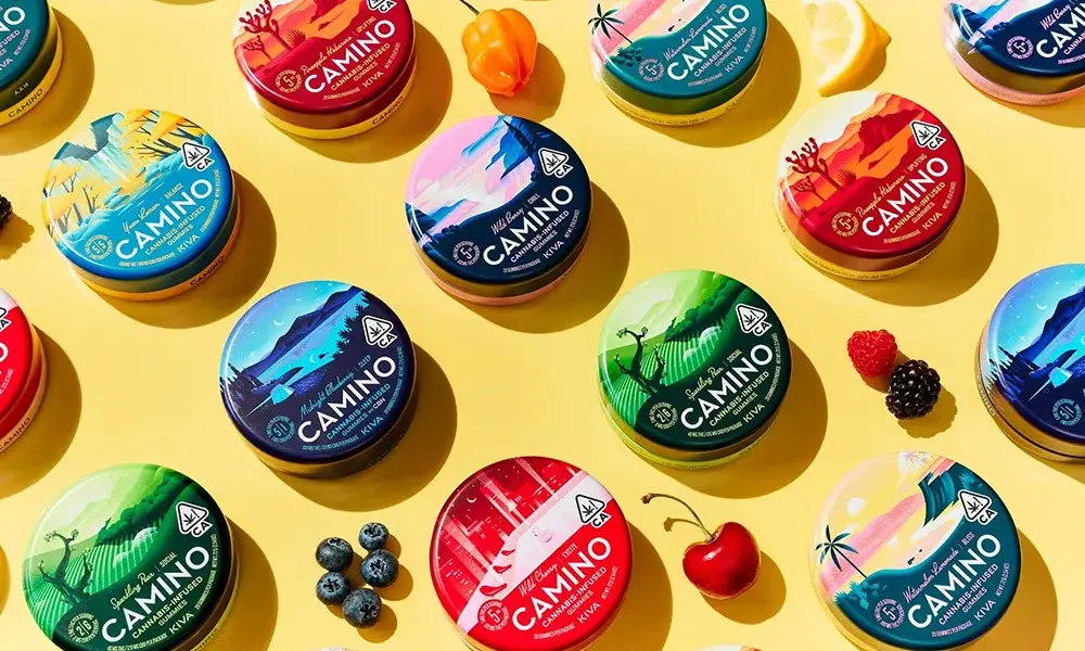 special 3396317 photo