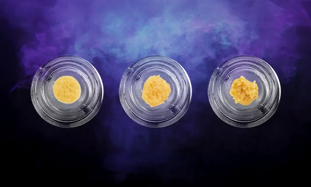 special 3331631 photo