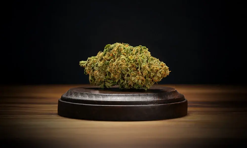 special 3255344 photo