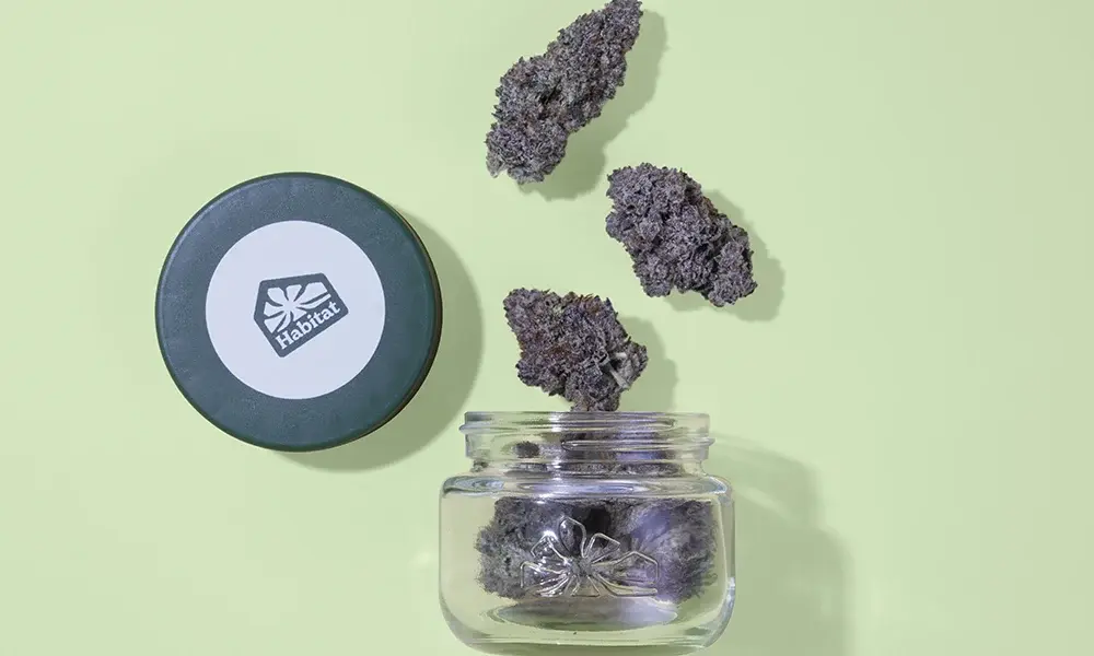 special 3398736 photo