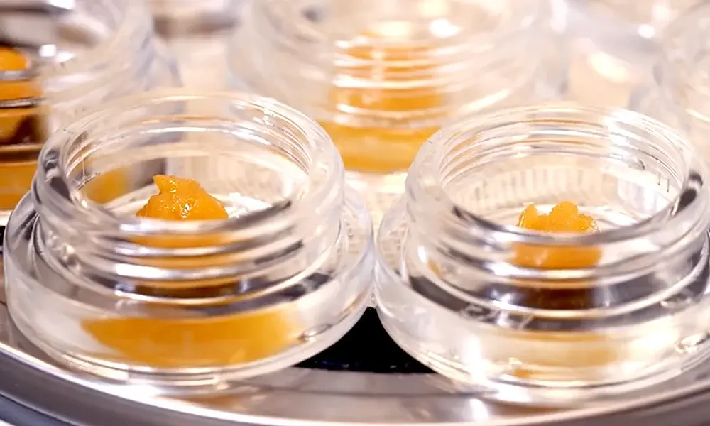 special 3364675 photo