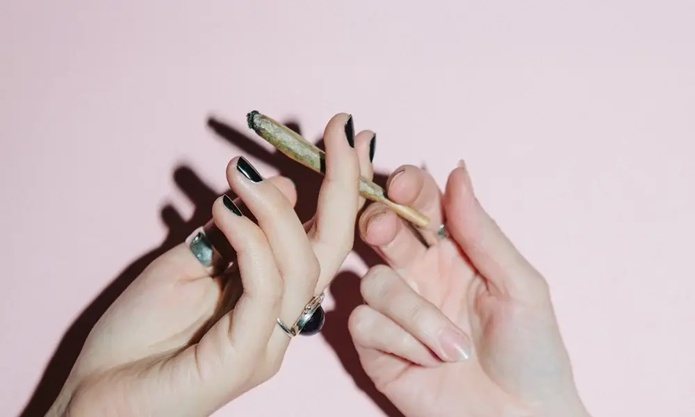 special 3398719 photo