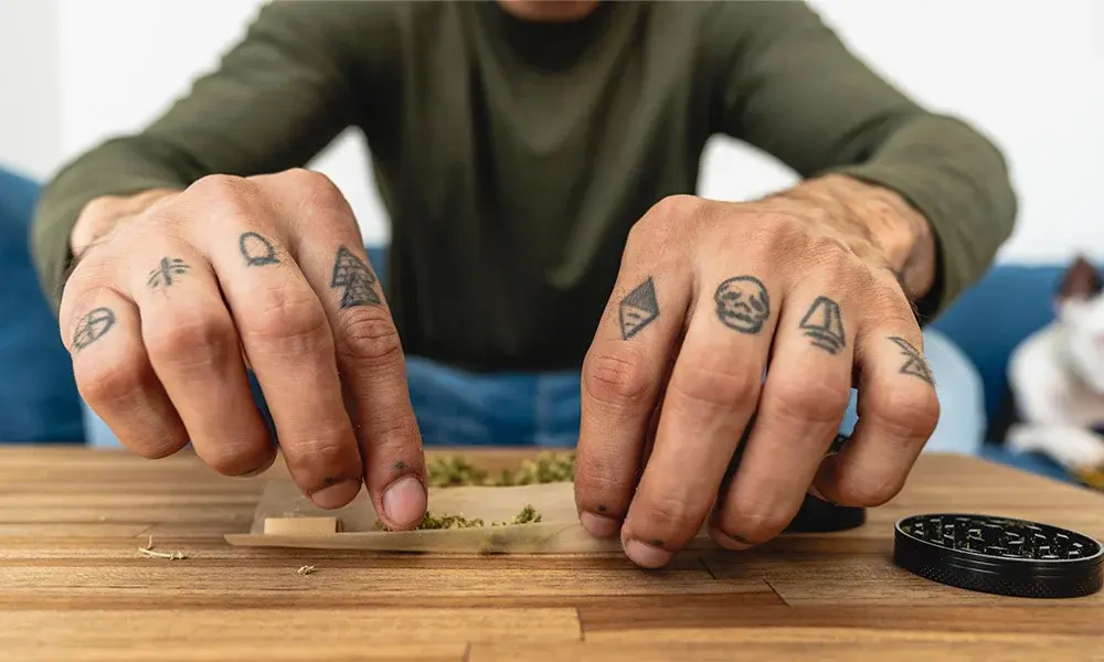 special 3291151 photo