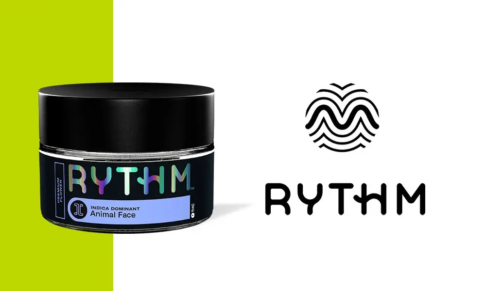 special 3299763 photo